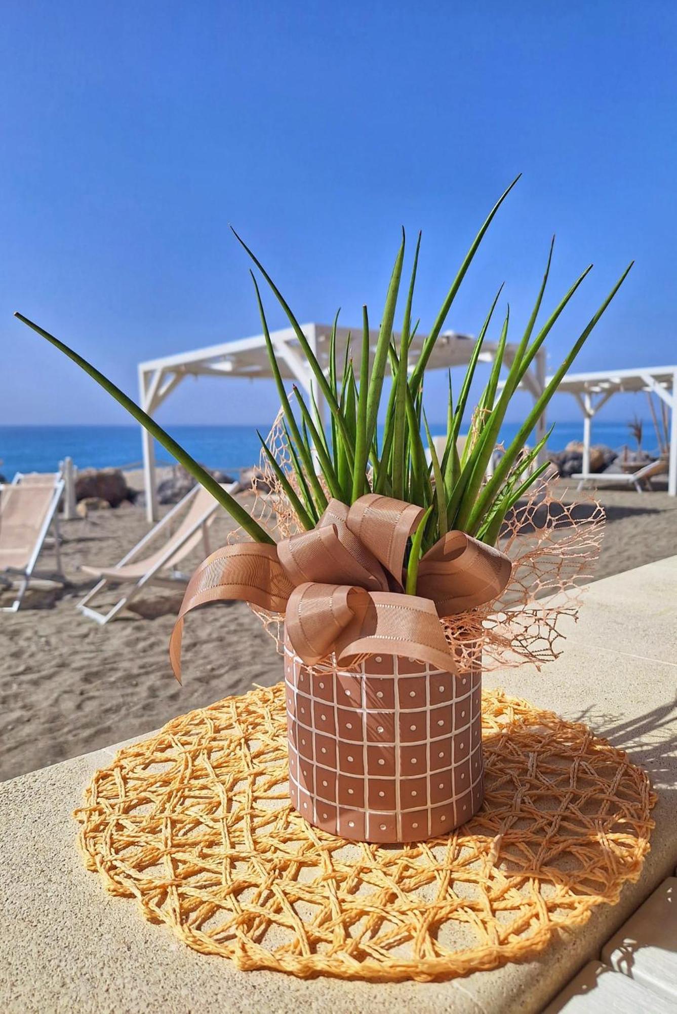 G&g Calabria Bed & Breakfast